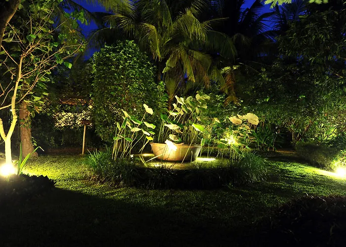 Amatao Tropical